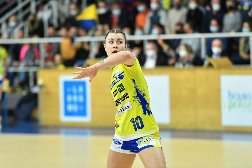 Bourg de Péage : il faut sauver les abeilles !